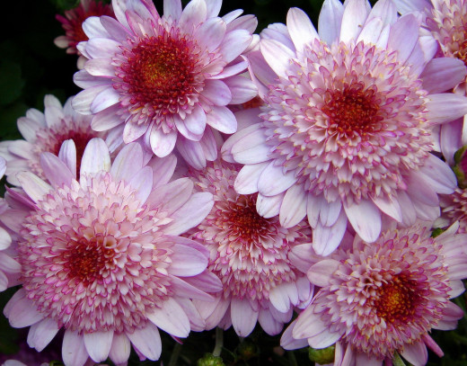588454 (a): :1920x1500